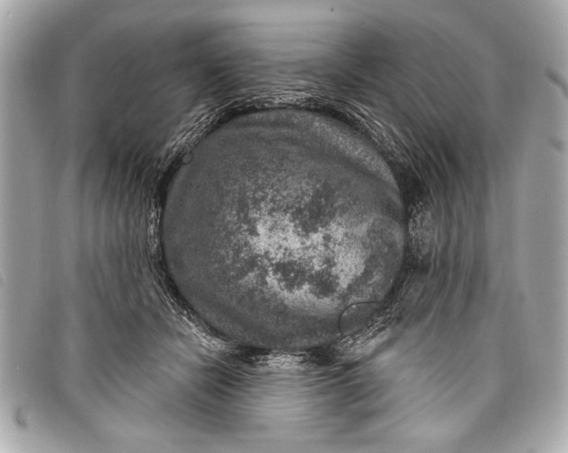 X0000098070462200804181137