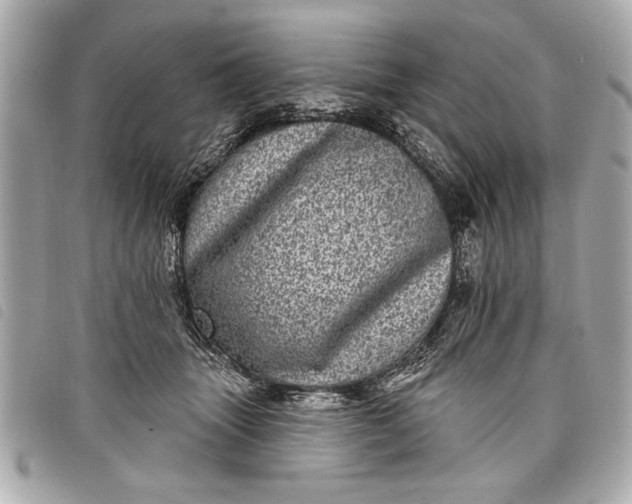 X0000098070463200804181137