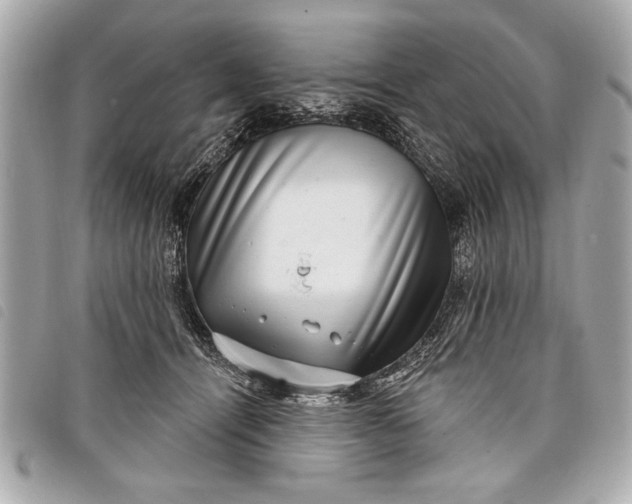 X0000098070464200804181137