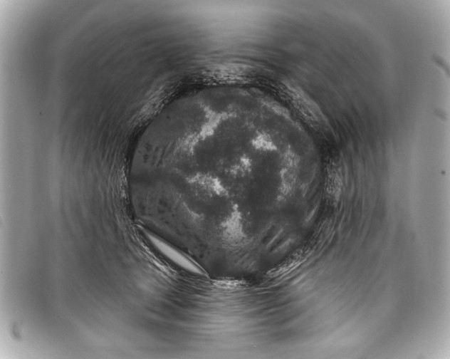 X0000098070465200804181137