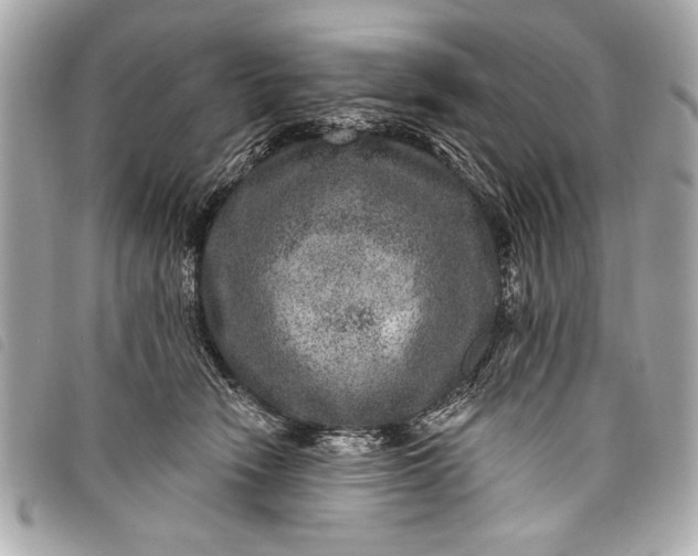 X0000098070466200804181137