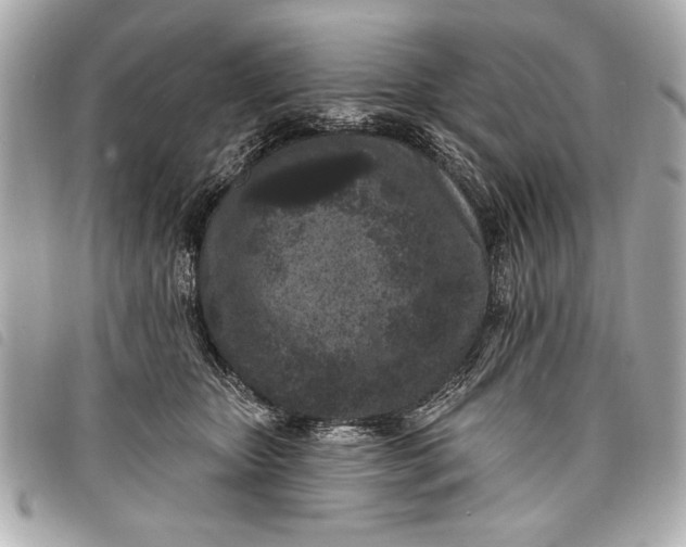 X0000098070467200804181137