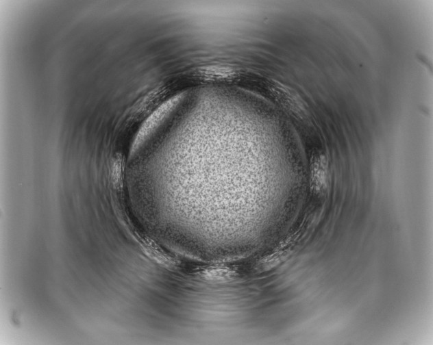 X0000098070468200804181137