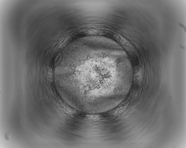 X0000098070469200804181137