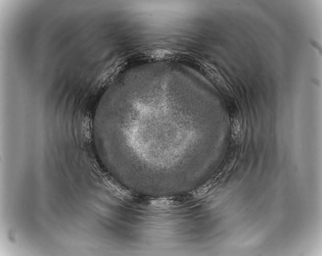 X0000098070470200804181137