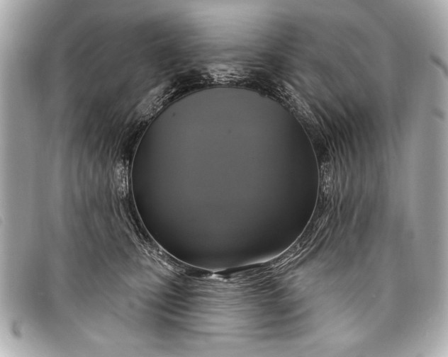 X0000098070471200804181137