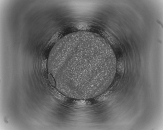 X0000098070473200804181137