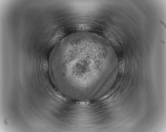 X0000098070474200804181137