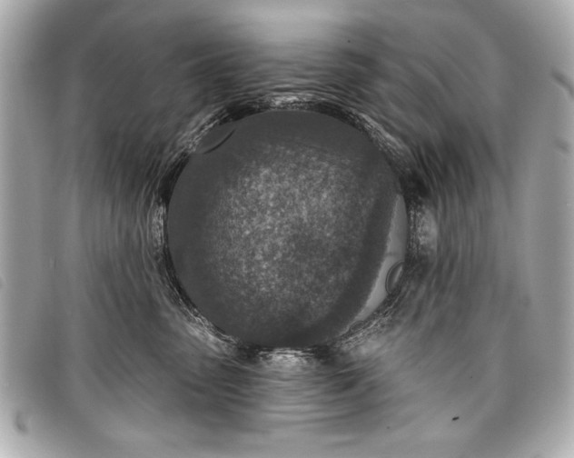 X0000098070475200804181138