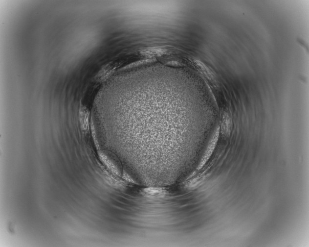 X0000098070477200804181138