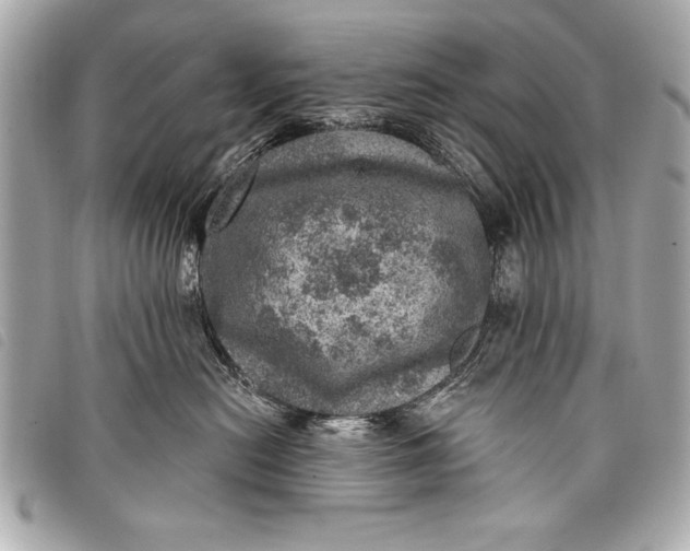 X0000098070478200804181138