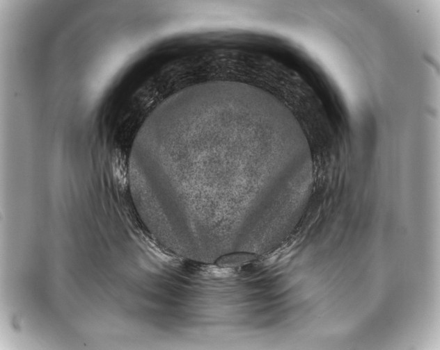 X0000098070479200804181138