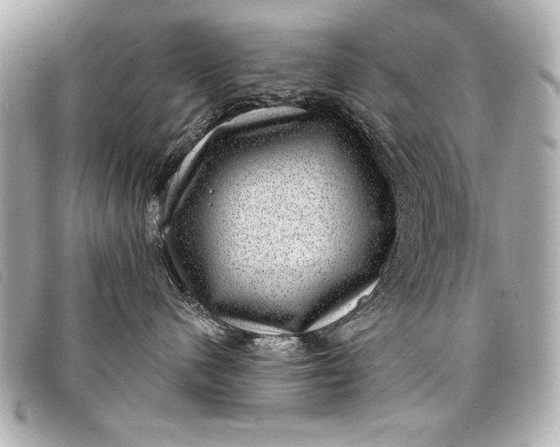 X0000098070480200804181138