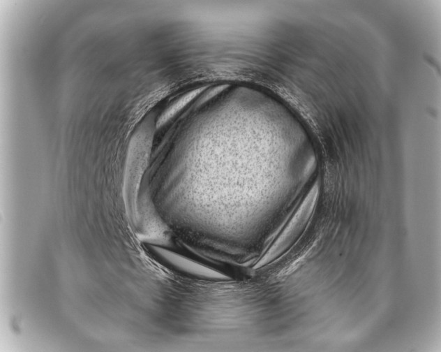 X0000098070481200804181137