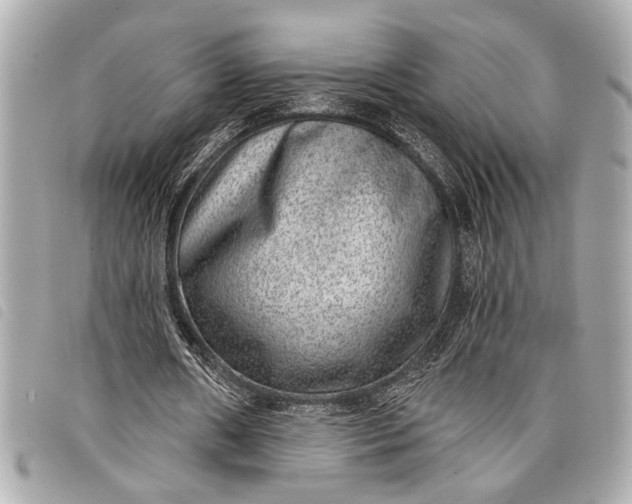 X0000098070482200804181137