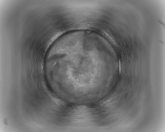 X0000098070483200804181137