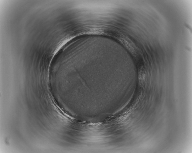 X0000098070484200804181137