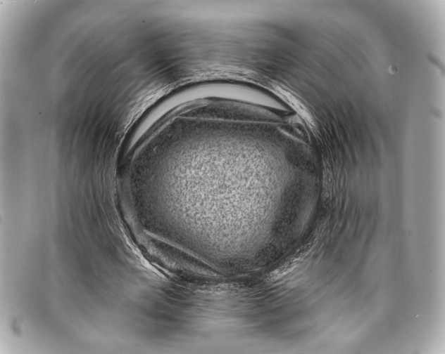 X0000098070485200804181137