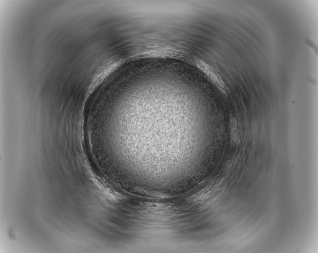 X0000098070486200804181136