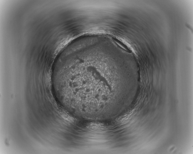 X0000098070487200804181136