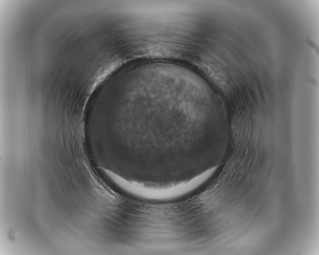 X0000098070488200804181136