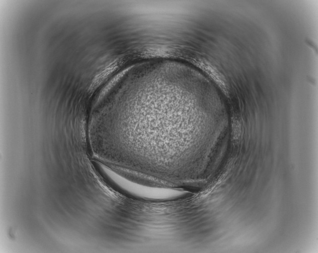 X0000098070489200804181136