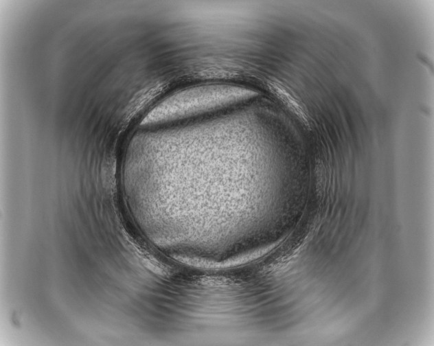 X0000098070490200804181136