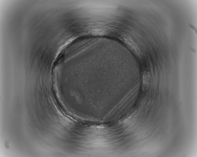 X0000098070492200804181136