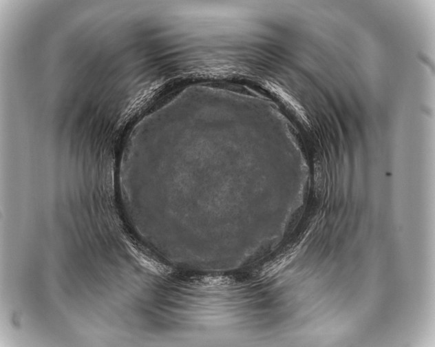 X0000098070493200804181136