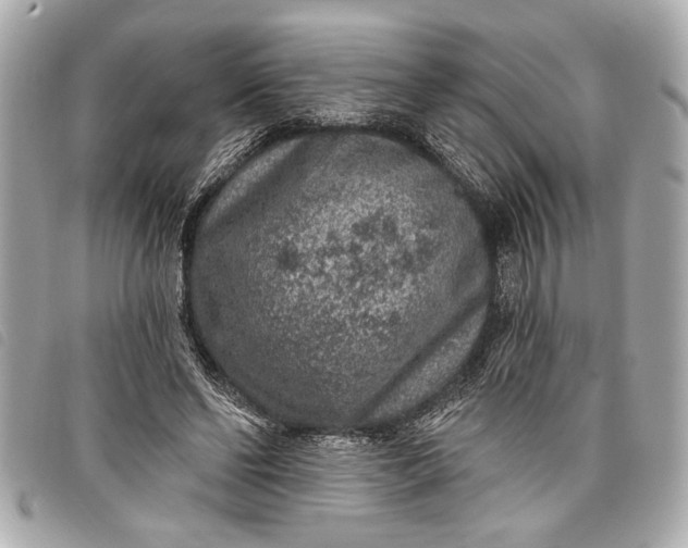 X0000098070494200804181136