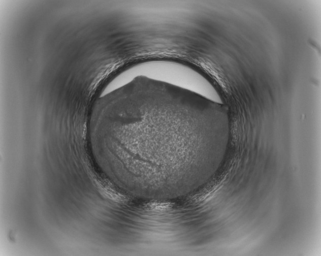 X0000098070495200804181136