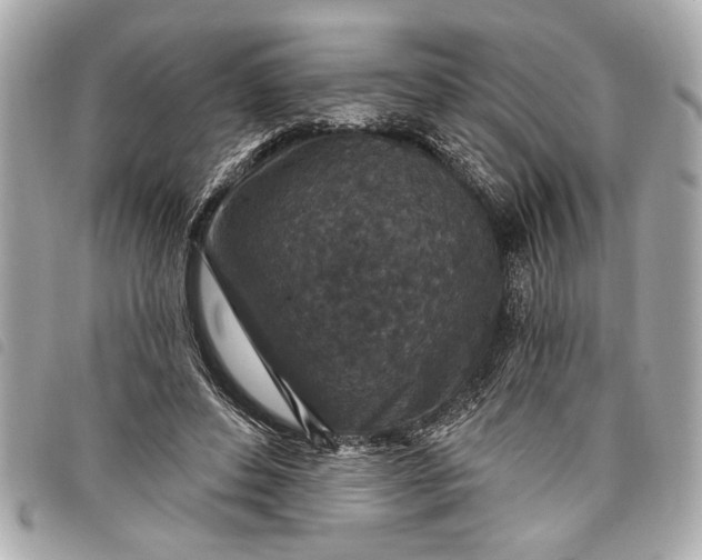 X0000098070496200804181136