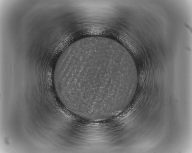 X0000098070497200804181136