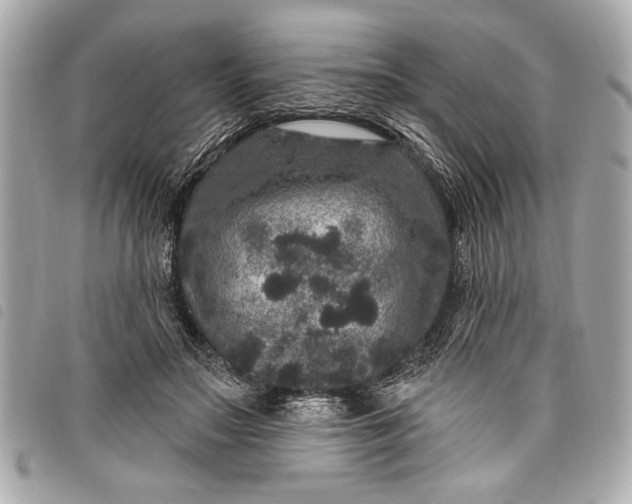 X0000098070499200804181136