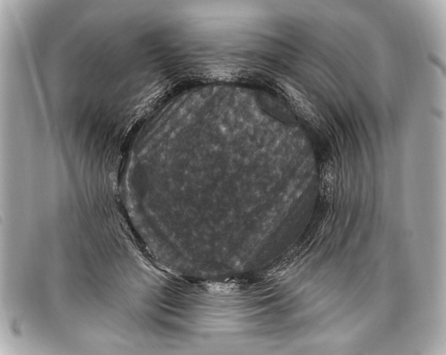 X0000098070500200804181136