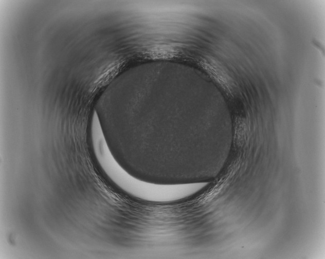 X0000098070501200804181136