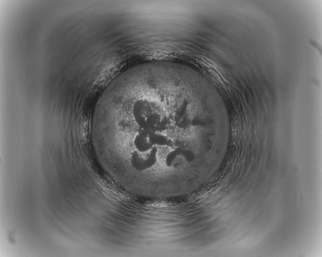 X0000098070503200804181136