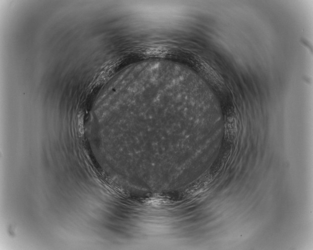 X0000098070504200804181136