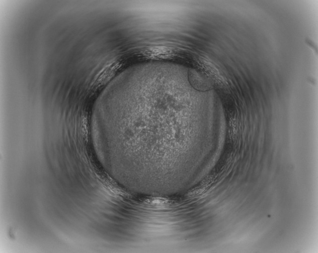 X0000098070506200804181136