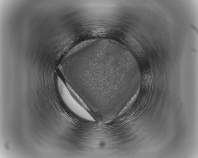 X0000098070508200804181136