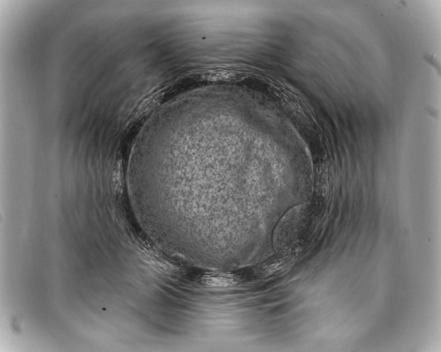 X0000098070510200804181136