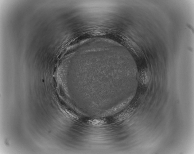 X0000098070512200804181136