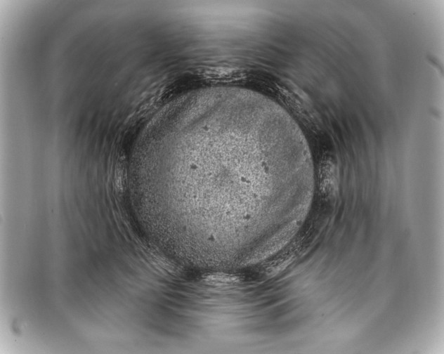 X0000098070515200804181136