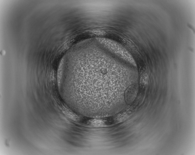 X0000098070518200804181136