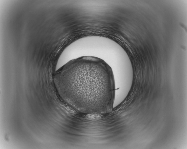 X0000098070520200804181136