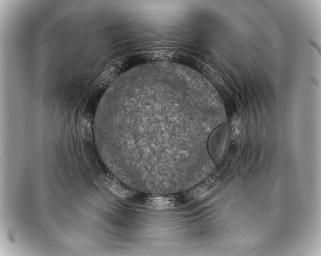 X0000098070522200804181136