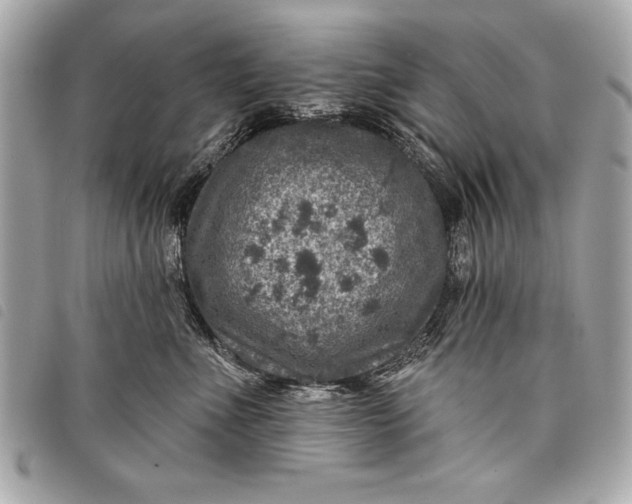 X0000098070523200804181136