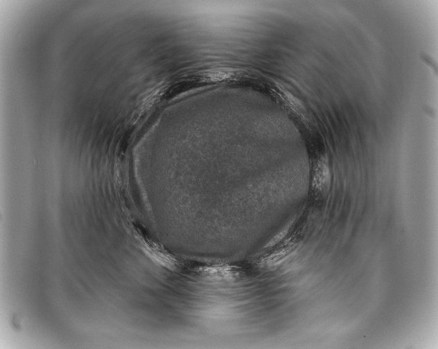 X0000098070524200804181136