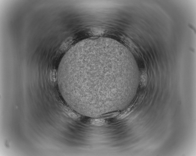 X0000098070525200804181136