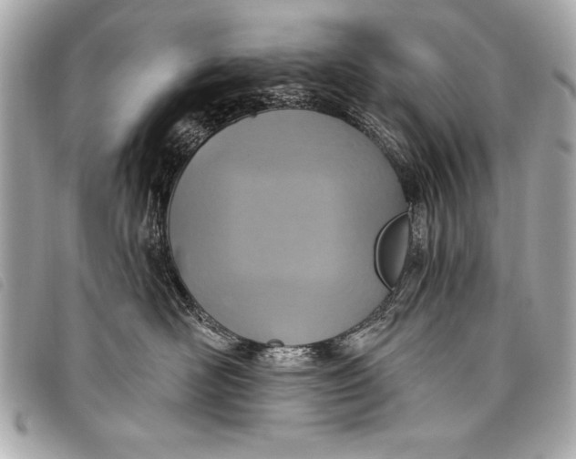 X0000098070526200804181136